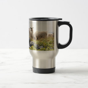 Mug De Voyage Conceptions originales - Moutons dans un champ