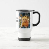 Connecticut Crowned Cat Companion