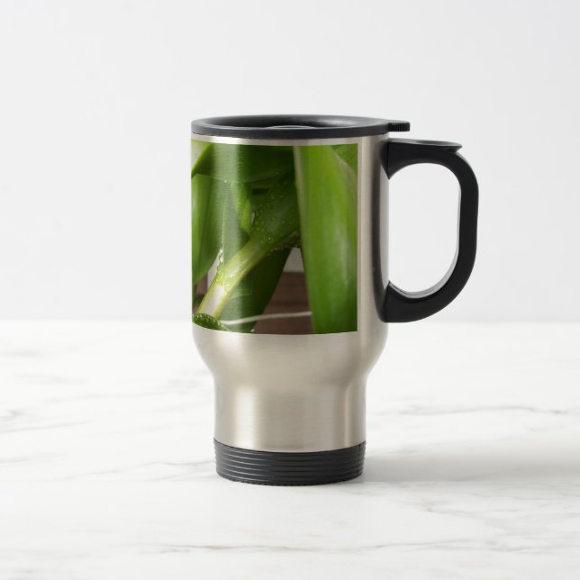 Mug De Voyage Dendrobium Orchidée tiges closeuse (Droit)