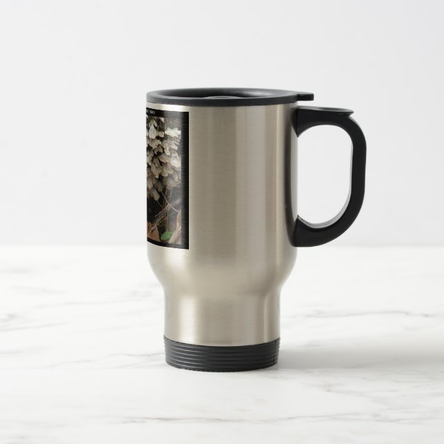 Mug De Voyage Hot Spings National Park, Arkansas Tree Fungus (Droit)