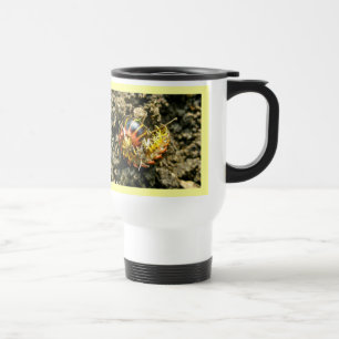 Mug De Voyage Millipede Polydesmida (Sigmoria aberrans)