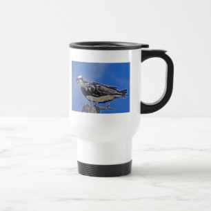 Mug De Voyage Oiseau de balbuzard