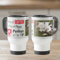 Parfaite photo de chat et de café gris rouge