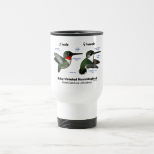 Mug De Voyage Statistiques sur les colibris à gorge rubis