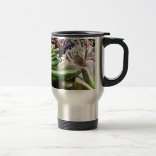 Mug De Voyage Variété Cactus
