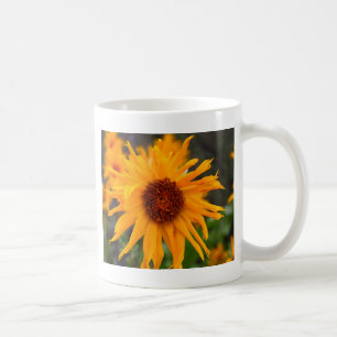 Mug défraîchi