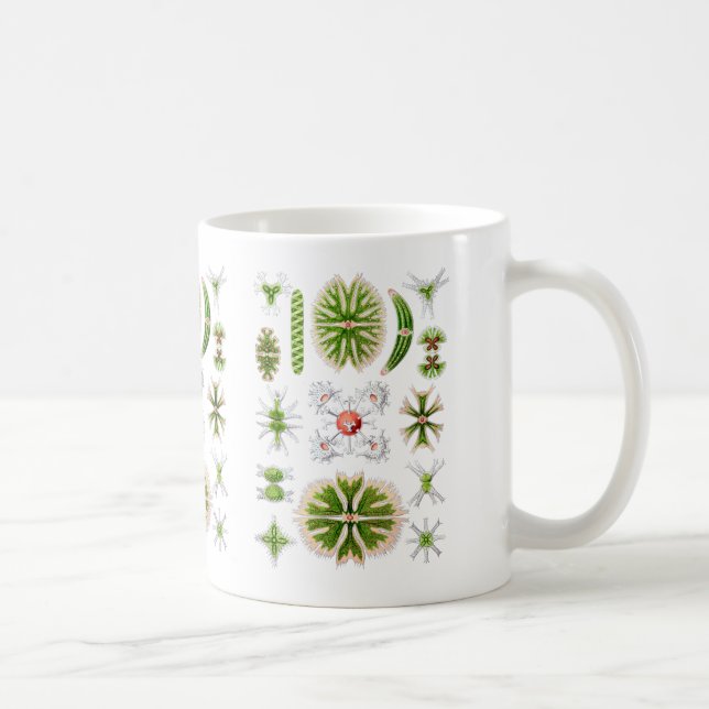 Mug Desmids (Droite)