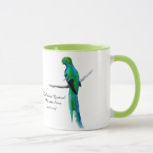 Dessin quetzal Illustration d'oiseau Aquarelle