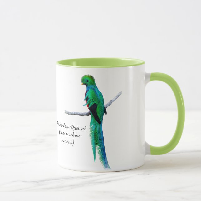 Mug Dessin quetzal Illustration d'oiseau Aquarelle (Droite)