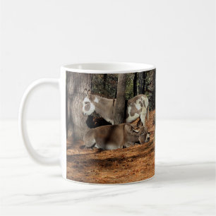 Mug Deux ânes