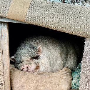Mug Deux côtés d'un ours polaire