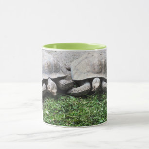 Mug Deux tortues qui se nourrissent