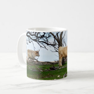 Mug Deux vaches de Highland dans des terres paisibles,