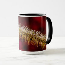 Dew du matin