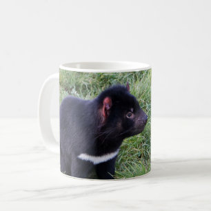 Mug Diable de Tasmanie, Tasmanie, Australie