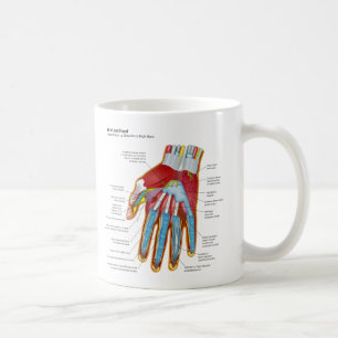 Mug Diagramme anatomique de la main et du poignet