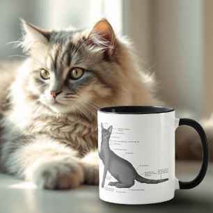 Mug Diagramme d'anatomie de chat drôle Humour Nerd