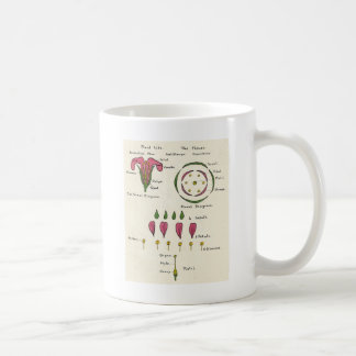 Mug Diagramme floral