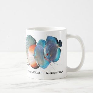Mug Discus fish