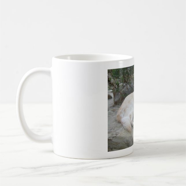 Mug Dog Resting On A Rock (Gauche)