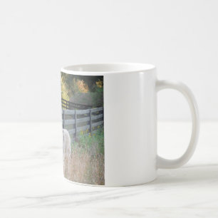 Mug Donkey dans un champ d'automne
