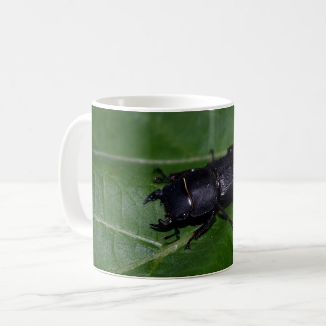 Mug Dorcus parallelipipedus, le moindre dendroctone du (Devant gauche)