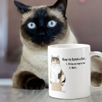 Drôle de chat calicot beige humour dans une boîte