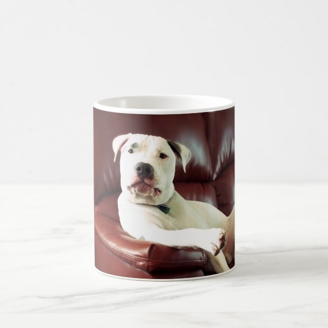 Mug drôle de pit bull chien sur le canapé (Centre)