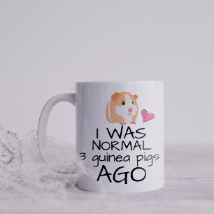 Mug Drôle j'étais normale il y a 3 cochons d'Inde