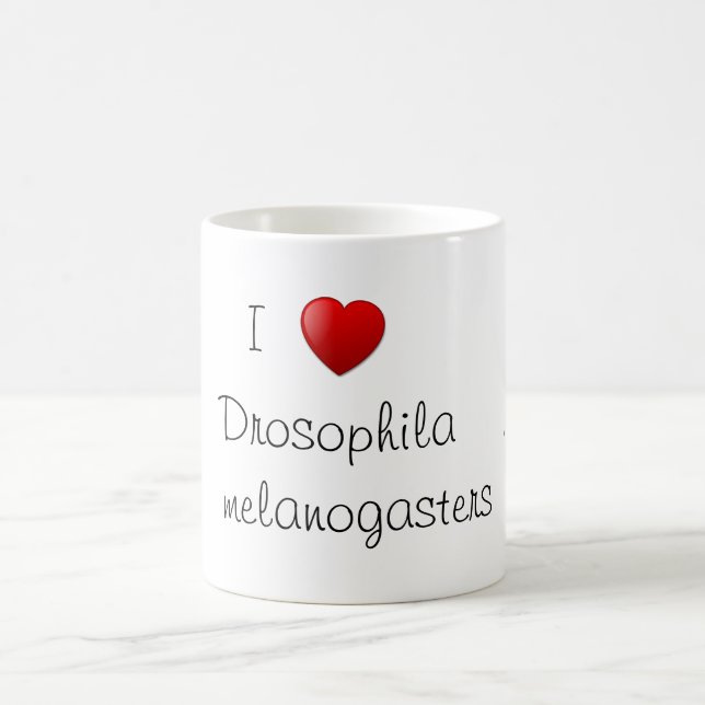 Mug Drosophile (Centre)