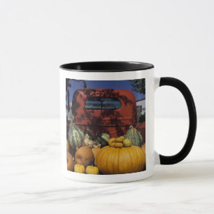 Mug É.-U., États-Unis, Nouveau-Mexique, Taos. Étal du