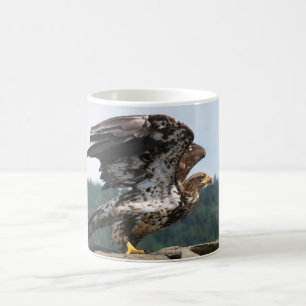 Mug Eagle chauve non mûr prêt pour le décollage