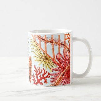 Mug Échinodermes de la Grande barrière de corail | VIN