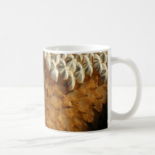 Mug - Écorces de graines de tournesol