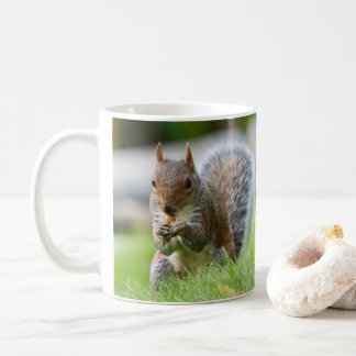 Mug Écureuil - adorable écureuil gris