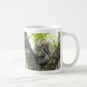 Mug Écureuil d'arbre
