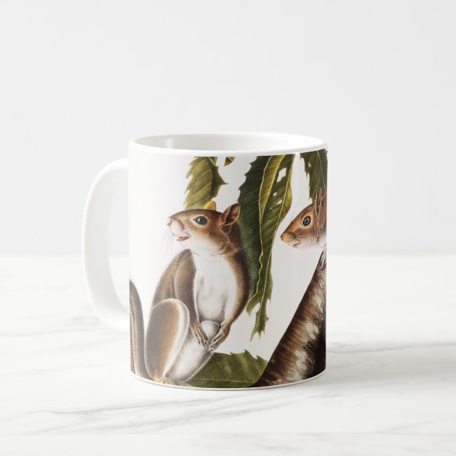 Mug Écureuil gris de Caroline (Sciurus Carolinensis) (Devant gauche)