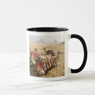 Mug Égypte, Le Caire. Chameaux au repos