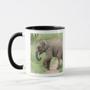 Mug Éléphant bébé suivant sa mère, Corbett