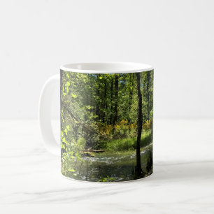 Mug Elijah Bristow State Park, Dexter, Oregon