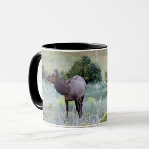 Mug Elk américain   Colorado