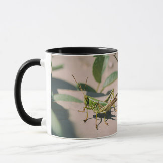 Mug en céramique de sauterelle inspirée de la natu