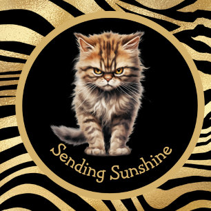 Mug Envoyer Sunshine Ou Votre Texte Drôle Tabby Cat