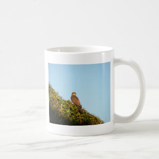 Mug Épervier