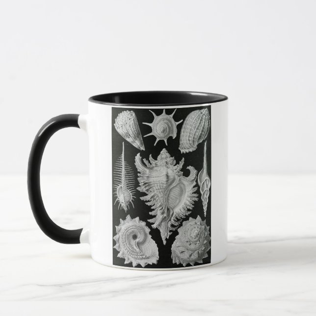 MUG ERNST HAECKEL (Gauche)