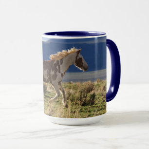 Mug Étalon courant, Steens Mountains, Oregon