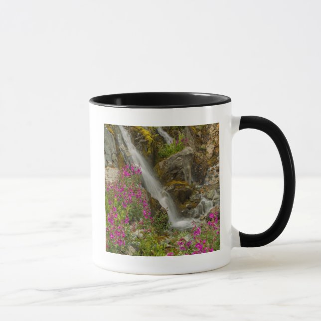Mug États-Unis, Alaska, Glacier Bay National Park. Feu (Droite)
