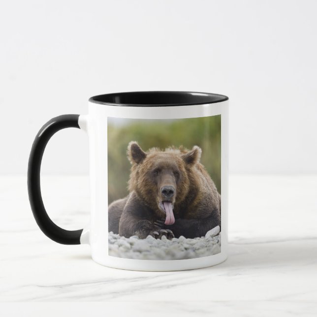 Mug États-Unis, Alaska, Parc national de Katmai, baie  (Gauche)