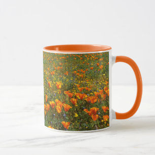 Mug États-Unis, Californie, Antelope Valley Californie