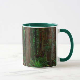 Mug États-Unis, Californie. Chemin d'accès parmi les